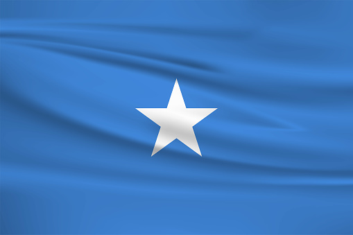 Flag waving in the wind Euro Generation