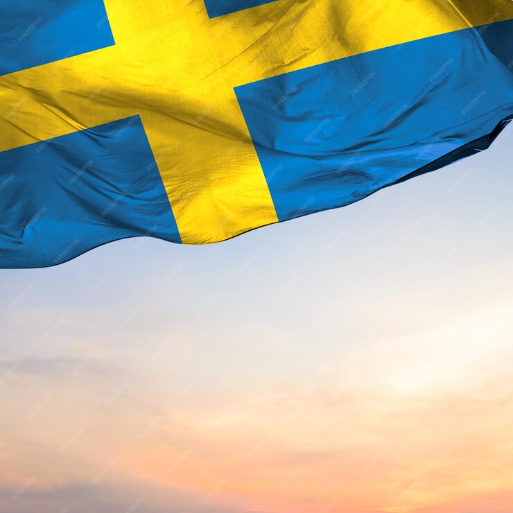 Swedish Euro Generation